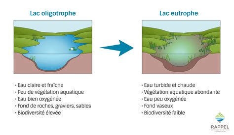 qualité eaux canal référentiel